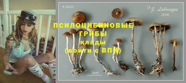 герыч Няндома