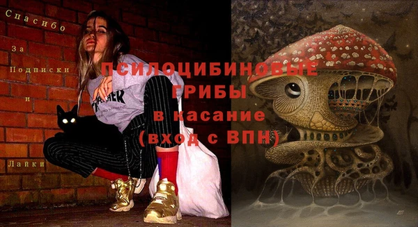 первитин Нязепетровск