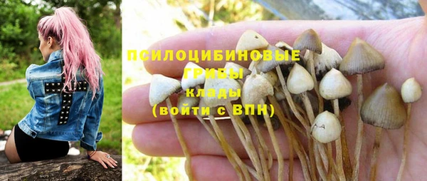 герыч Няндома