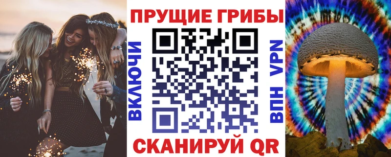 Псилоцибиновые грибы Psilocybe  мега как войти  Иноземцево  наркота 